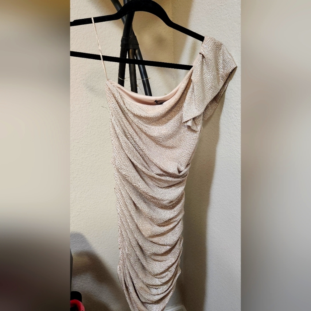 Express Champagne Cocktail Dress Size 2